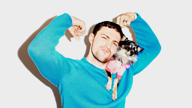 Man dog blue sweater promotional free wallpaper for desktop - medium preview image