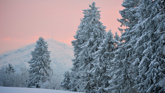 Snowy mountain forest pink sky #2 free wallpaper for desktop - medium preview image