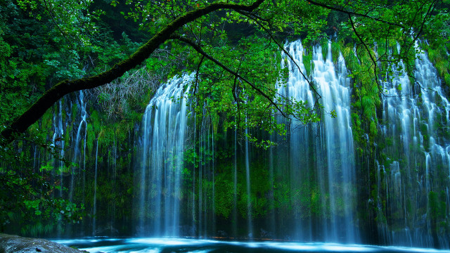 Waterfall tree lake forest nature free wallpaper for desktop - medium preview image