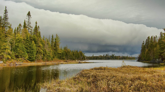 Lake forest grass cloudy sky free wallpaper for desktop - medium preview image