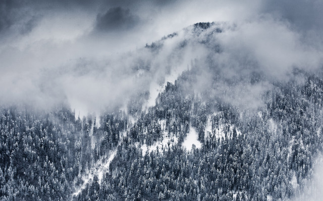 Snowy mountain clouds trees mist free wallpaper for desktop - medium preview image