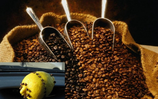 Coffee lemon spoons stilllife photorealistic free wallpaper for desktop - medium preview image