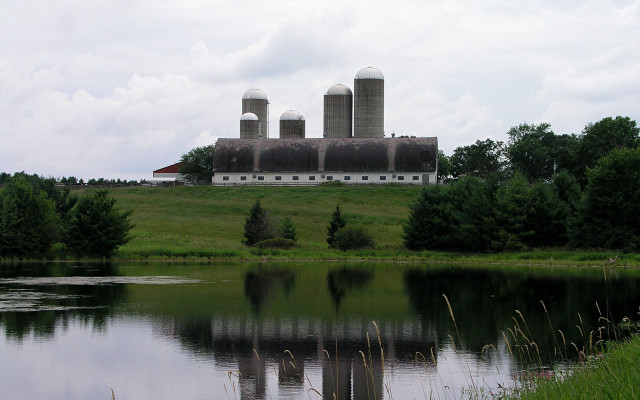 Farm pond silo barn trees free wallpaper for desktop - medium preview image