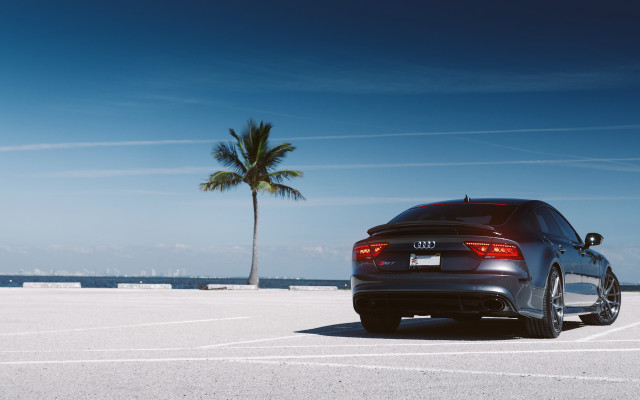 Car palm ocean beach tilt free wallpaper for desktop - medium preview image