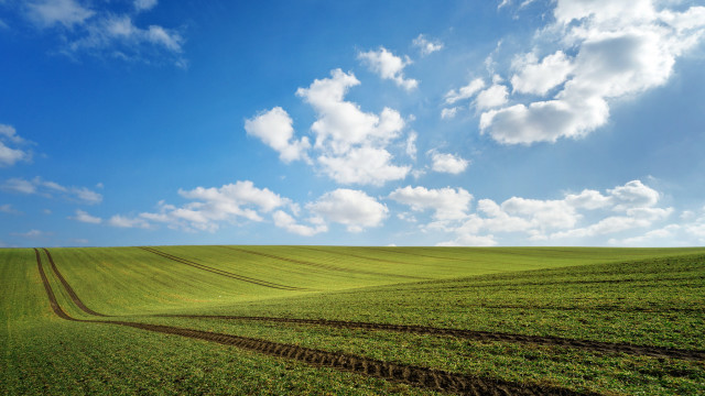 Large field dirt track blue free wallpaper for desktop - medium preview image