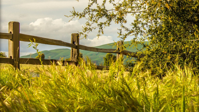Wooden fence grassy field mountains #3 free wallpaper for desktop - medium preview image