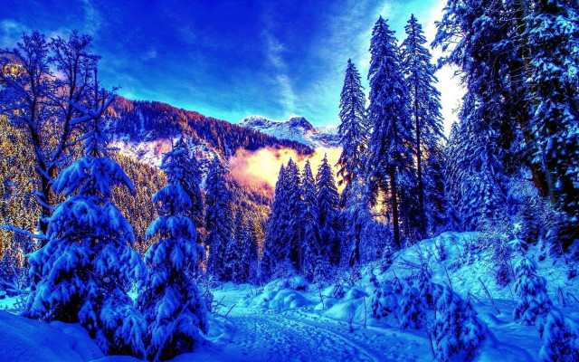 Snowy mountain trees blue sky #14 free wallpaper for desktop - medium preview image