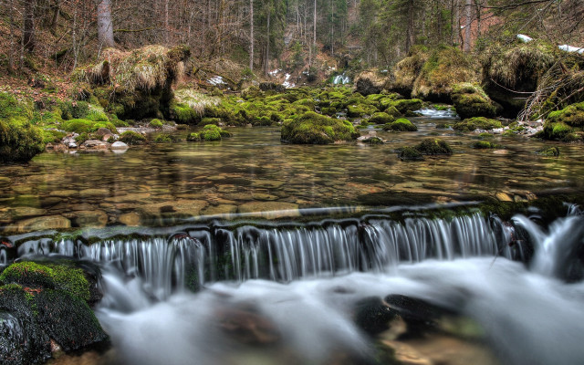 Forest waterfall moss rocks tiltshift free wallpaper for desktop - medium preview image