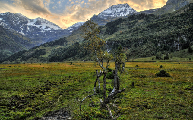 Tree field mountains clouds lake #2 free wallpaper for desktop - medium preview image