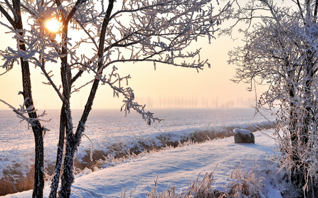 Snowy field hay bail fog free wallpaper for desktop - medium preview image