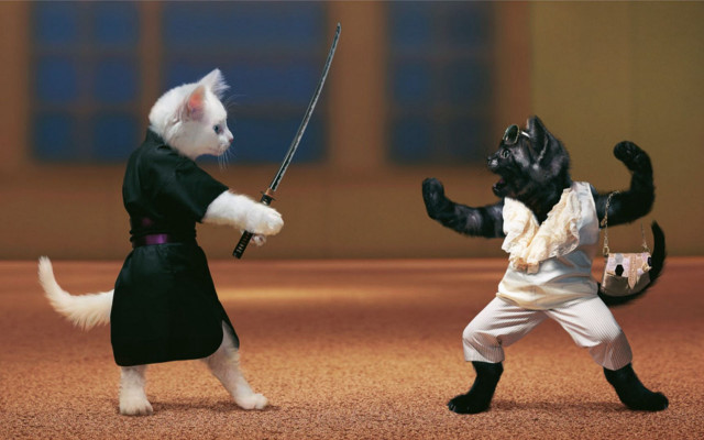 Dog swords dirt action furry free wallpaper for desktop - medium preview image