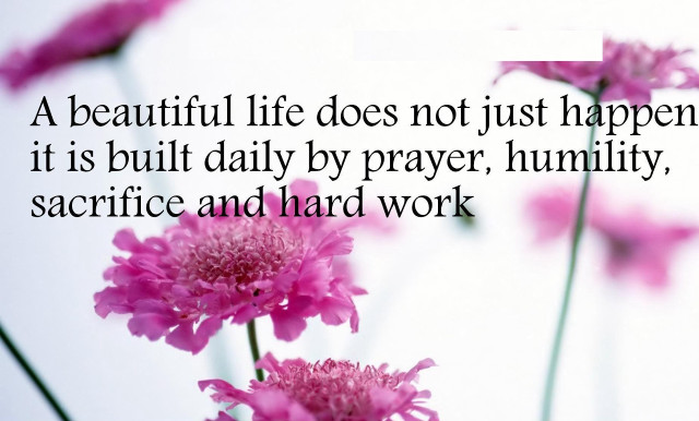 Flowers quote image beautiful inspiration free wallpaper for desktop - medium preview image