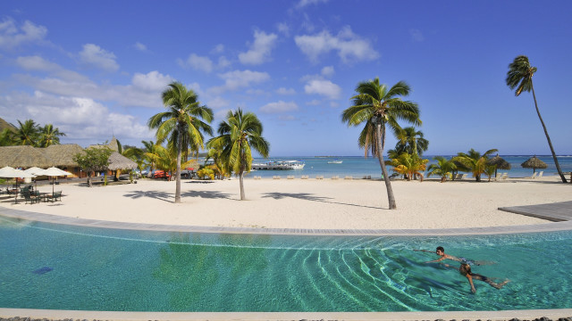 Swimming pool beach palm trees free wallpaper for desktop - medium preview image