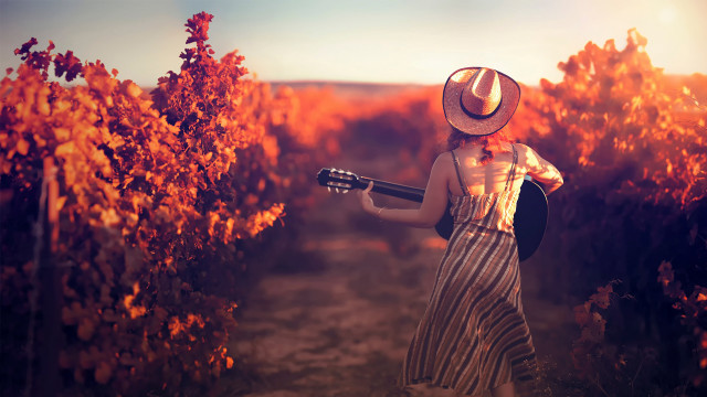 Woman hat guitar orange trees free wallpaper for desktop - medium preview image