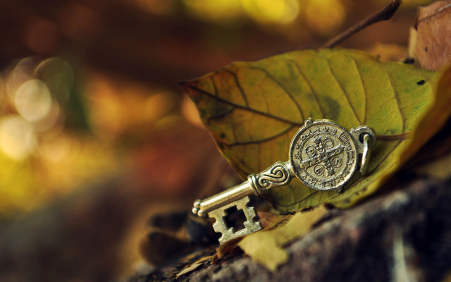 Key leaf rock woods steampunk free wallpaper for desktop - medium preview image