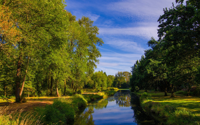 River forest sunny day nature free wallpaper for desktop - medium preview image