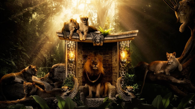 Lions wooden structure forest light free wallpaper for desktop - medium preview image