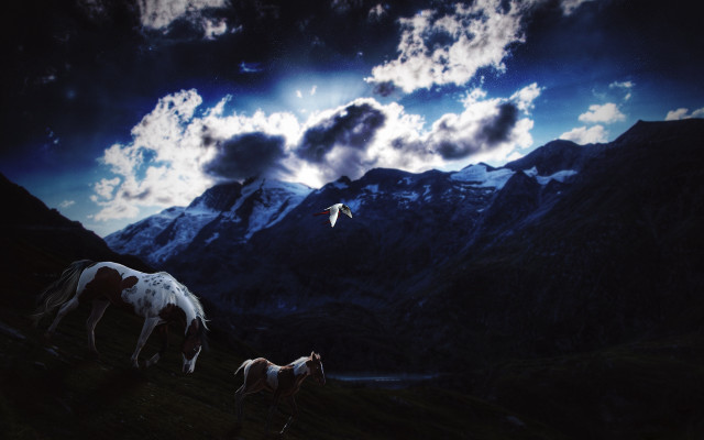 Horses grazing mountains bird sky free wallpaper for desktop - medium preview image