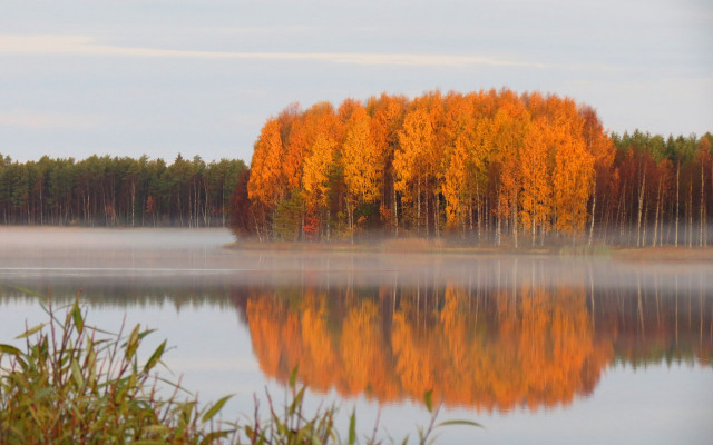 Autumn lake fog orange leaves #2 free wallpaper for desktop - medium preview image