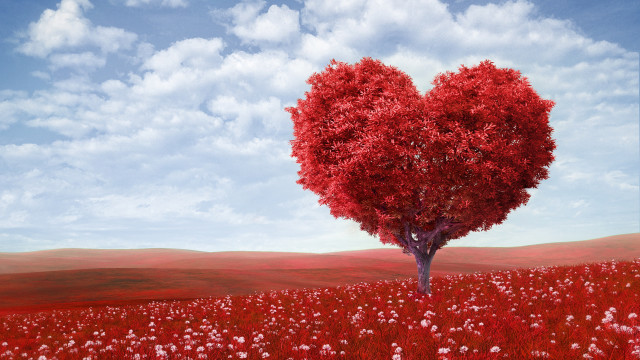 Heart shaped tree field flowers #3 free wallpaper for desktop - medium preview image