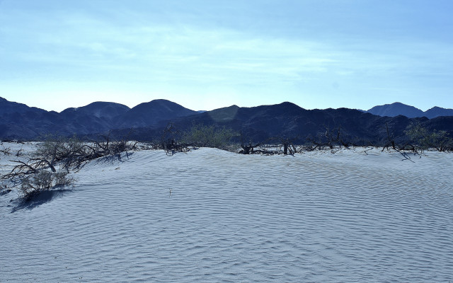 Desert mountains tree landscape beach free wallpaper for desktop - medium preview image