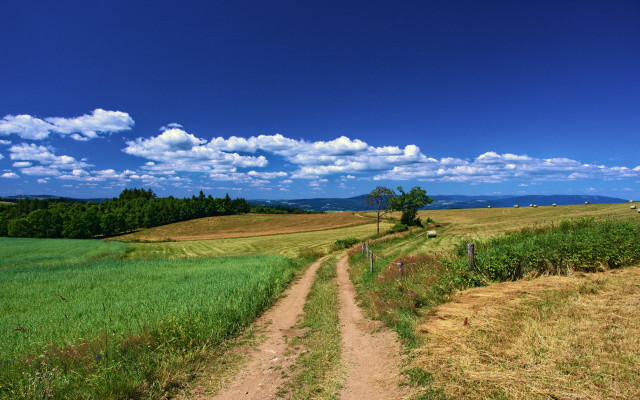 Dirt road green field blue #3 free wallpaper for desktop - medium preview image