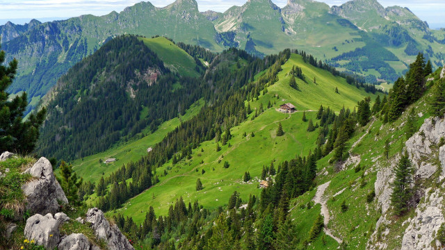 Green mountain house trees background free wallpaper for desktop - medium preview image