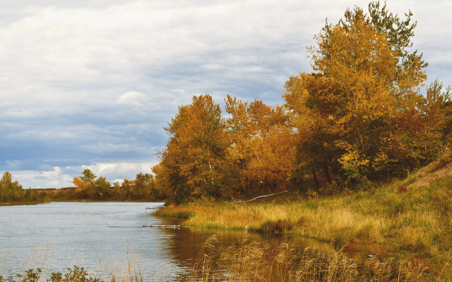River trees ducks autumn matte free wallpaper for desktop - medium preview image