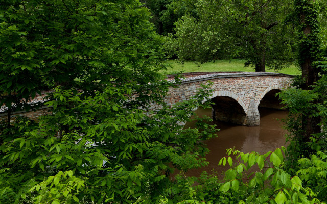 Stone bridge river park trees free wallpaper for desktop - medium preview image