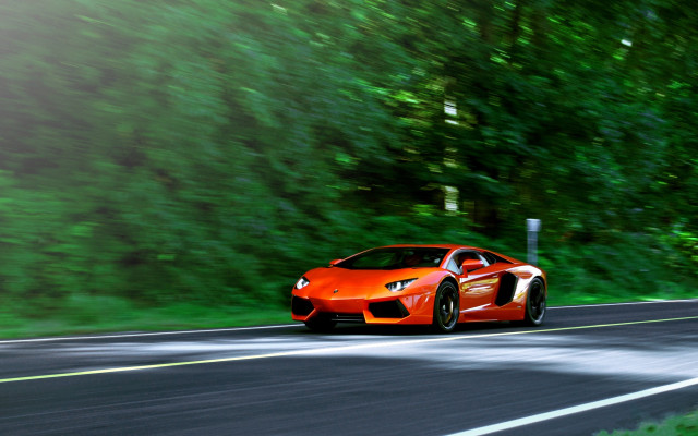 Red sports car forest road #5 free wallpaper for desktop - medium preview image