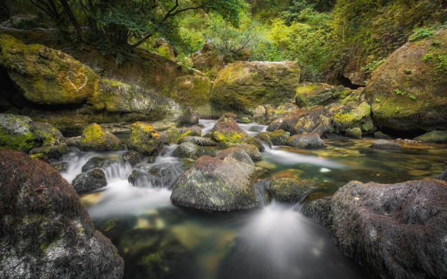 Forest stream water rocks mossy free wallpaper for desktop - medium preview image