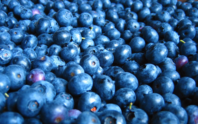 Blueberries table blurry macro flower free wallpaper for desktop - medium preview image