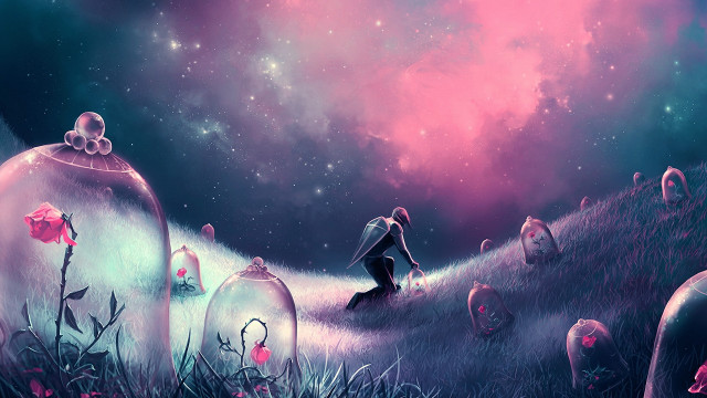 Flower field pink sky stars free wallpaper for desktop - medium preview image