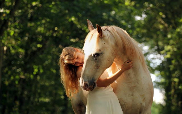 Woman hugging horse enchanting forest free wallpaper for desktop - medium preview image