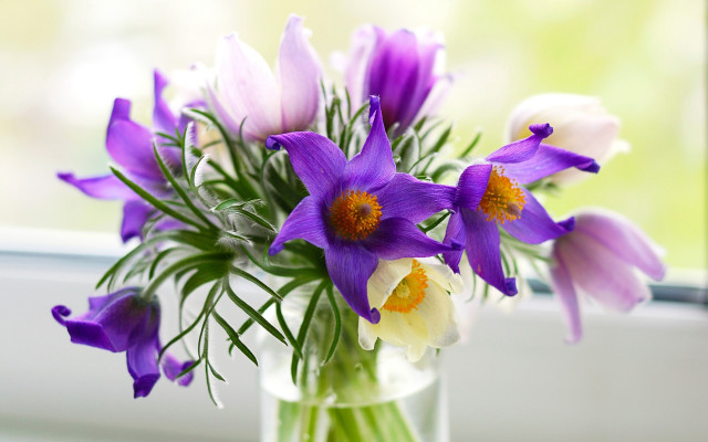Vase purple white flowers window free wallpaper for desktop - medium preview image