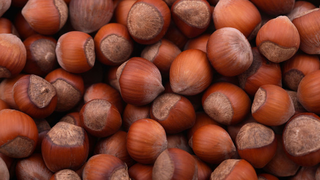 Nuts brown center tips pile free wallpaper for desktop - medium preview image