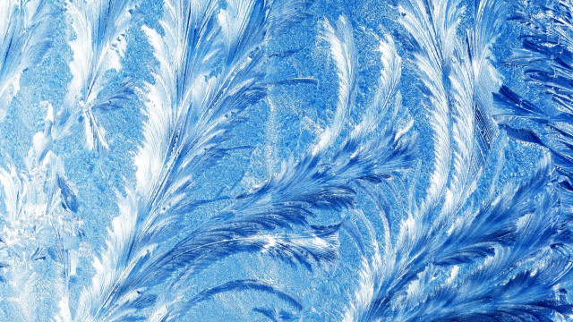 Blue feathers night forest snow free wallpaper for desktop - medium preview image