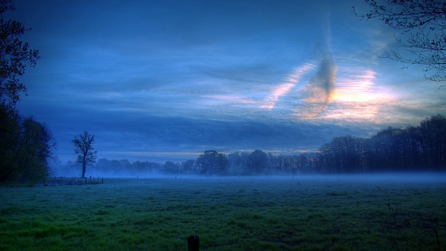 Fenced field trees clouds mist free wallpaper for desktop - medium preview image