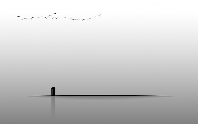 Lone person water birds minimalist free wallpaper for desktop - medium preview image
