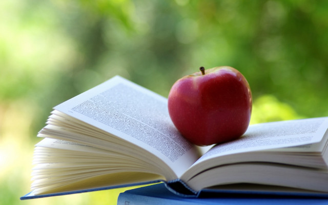 Apple book table outside bokeh free wallpaper for desktop - medium preview image