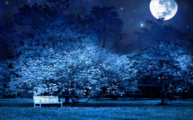 Bench park full moon stars free wallpaper for desktop - medium preview image