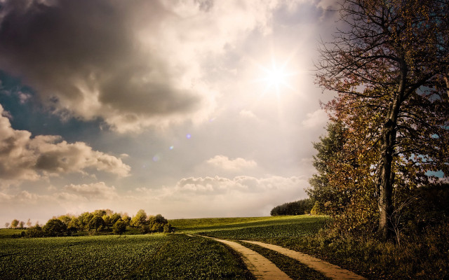 Dirt road green field cloudy #10 free wallpaper for desktop - medium preview image