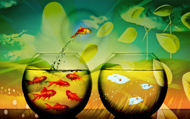 Goldfish bowl sky clouds jumping free wallpaper for desktop - medium preview image