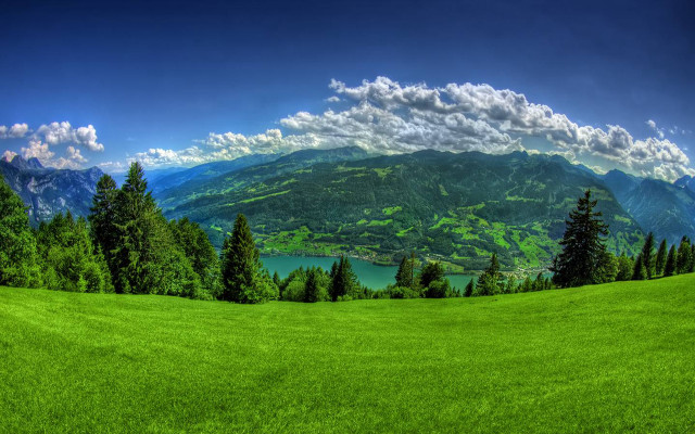 Green field lake mountains trees #2 free wallpaper for desktop - medium preview image