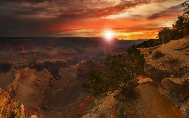 Sunset canyon tree bright sun free wallpaper for desktop - medium preview image