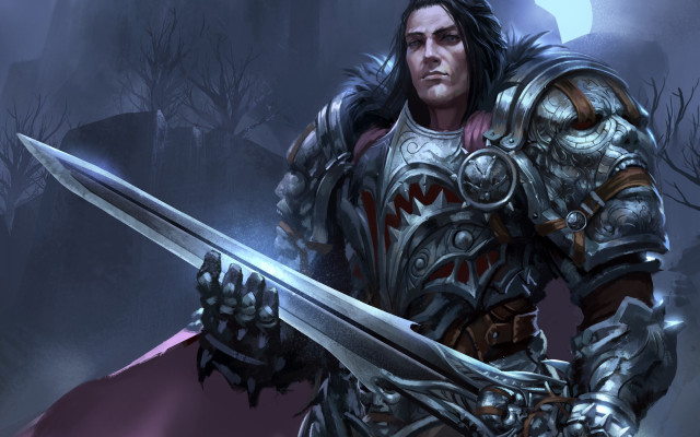 Man armor sword shield forest free wallpaper for desktop - medium preview image