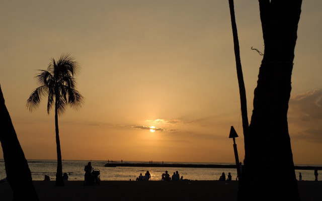 Sunset beach palm trees people free wallpaper for desktop - medium preview image