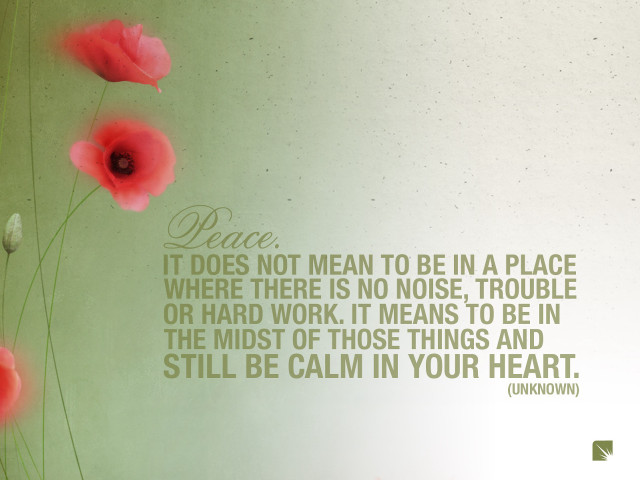 Peace quote red flowers green free wallpaper for desktop - medium preview image