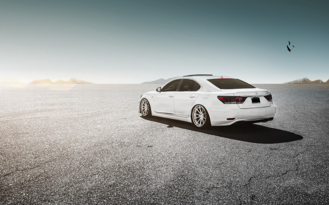 White car parking lot bird free wallpaper for desktop - medium preview image