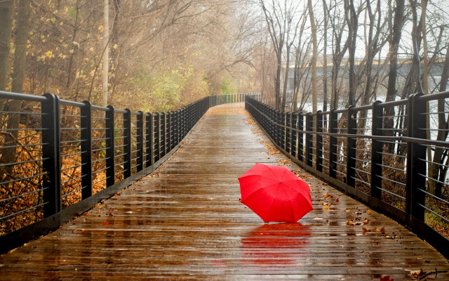 Red umbrella wooden bridge rain free wallpaper for desktop - medium preview image